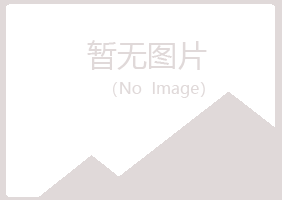 青岛李沧从蓉工程有限公司